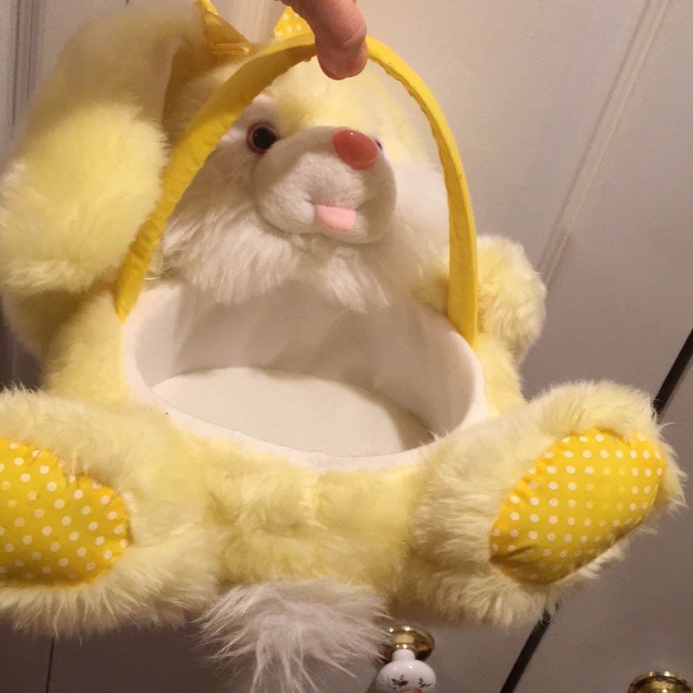 Washable bunny basket toy